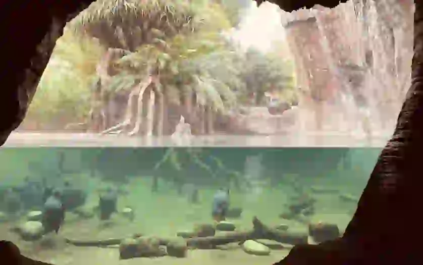 agua 1