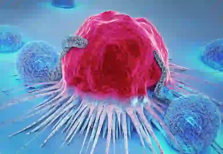 El Cáncer: La Ciencia y la Medicina