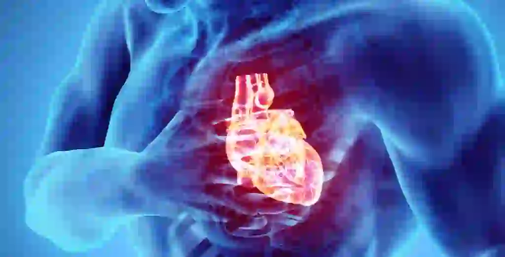 enfermedades cardiovasculares
