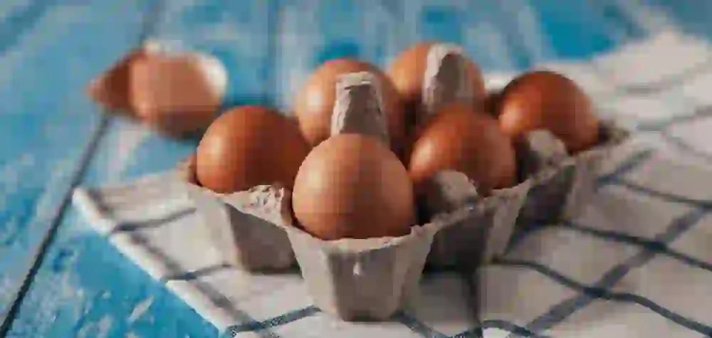 Huevos: Un Pequeño Alimento, Un Gran Impacto Nutricional 8 image 34