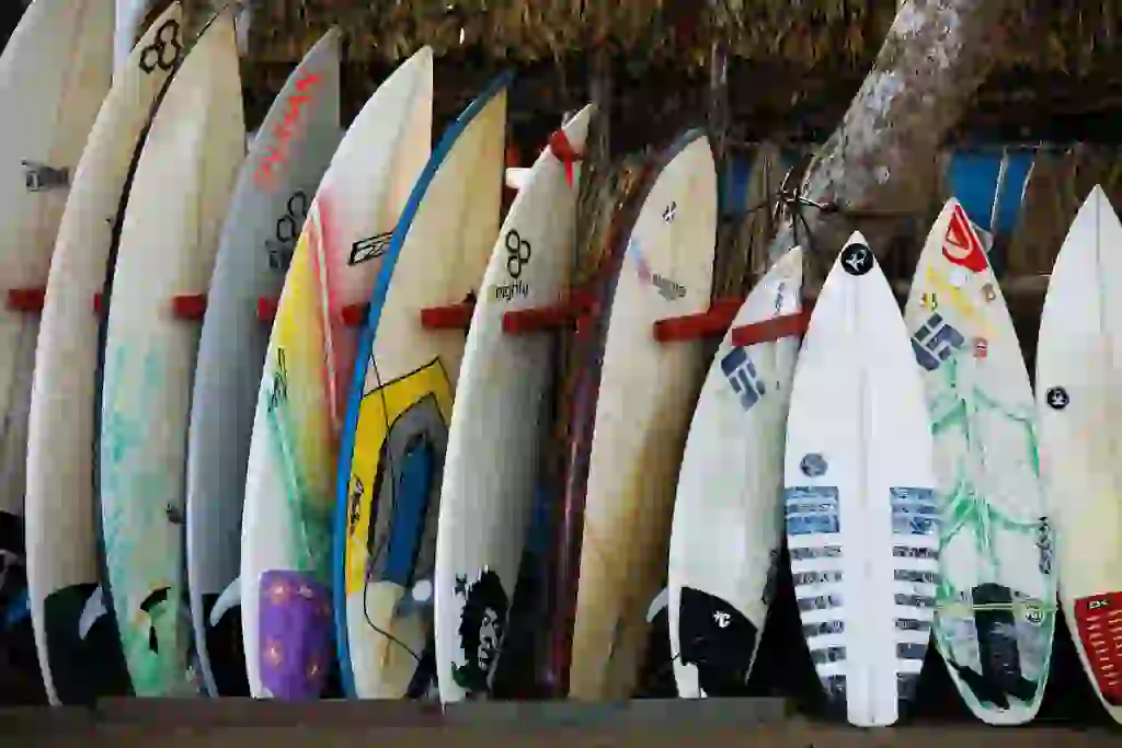 El Surf y la Sostenibilidad: Una Ola de Cambio 3 image 2