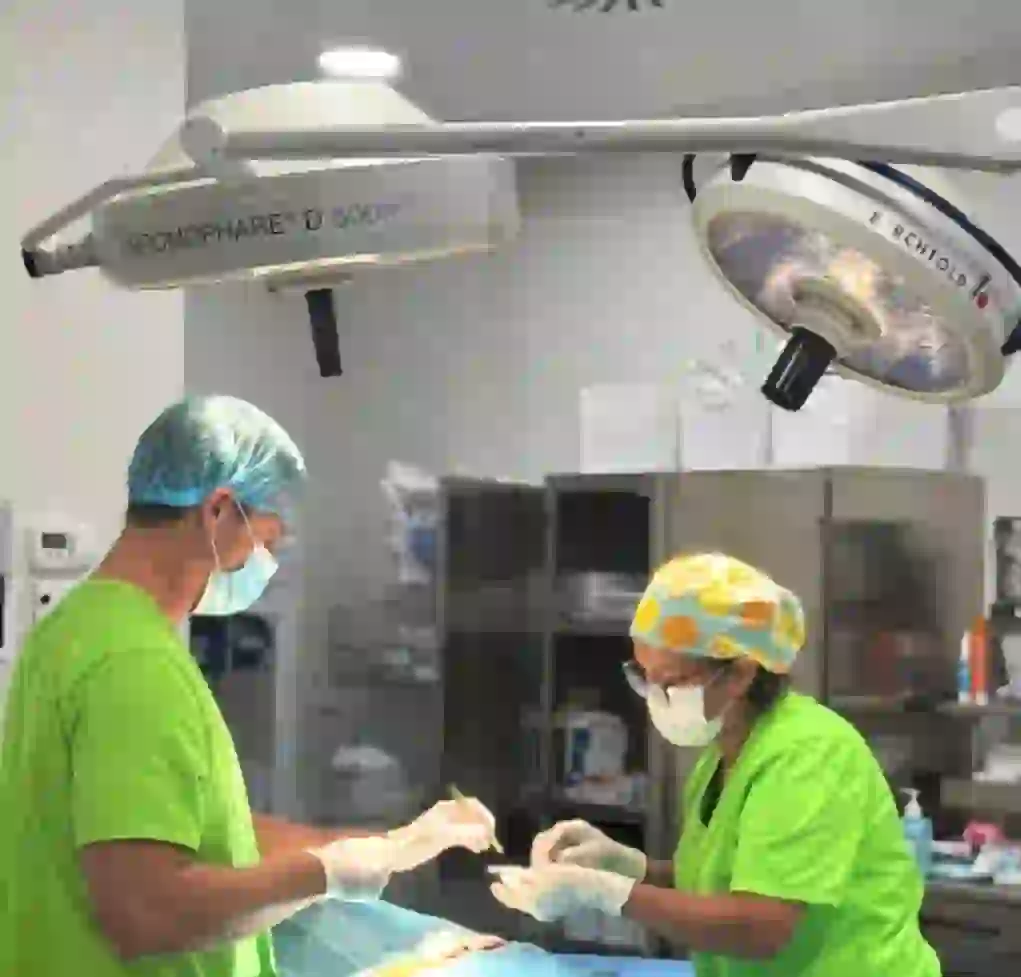 Policlínica ALEN: Nuestro centro, nuestro hogar🏥✨ 1 Centro médico Mijas