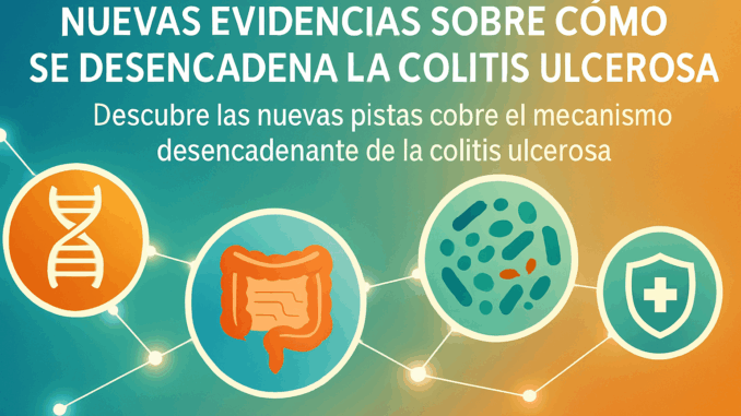 Nuevas evidencias sobre cómo se desencadena la colitis ulcerosa: claves del mecanismo desencadenante