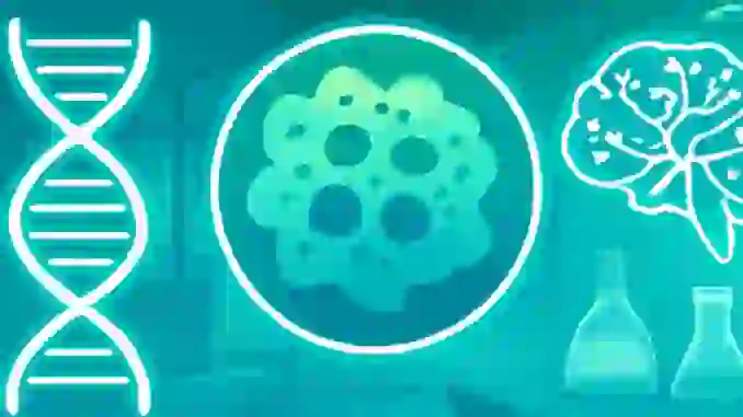 ‘OmicsTweezer’: la inteligencia artificial que revoluciona el análisis de tejidos en cáncer