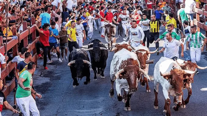 Fiestas de San Sebastián de los Reyes 2025: Encierros y Tradición