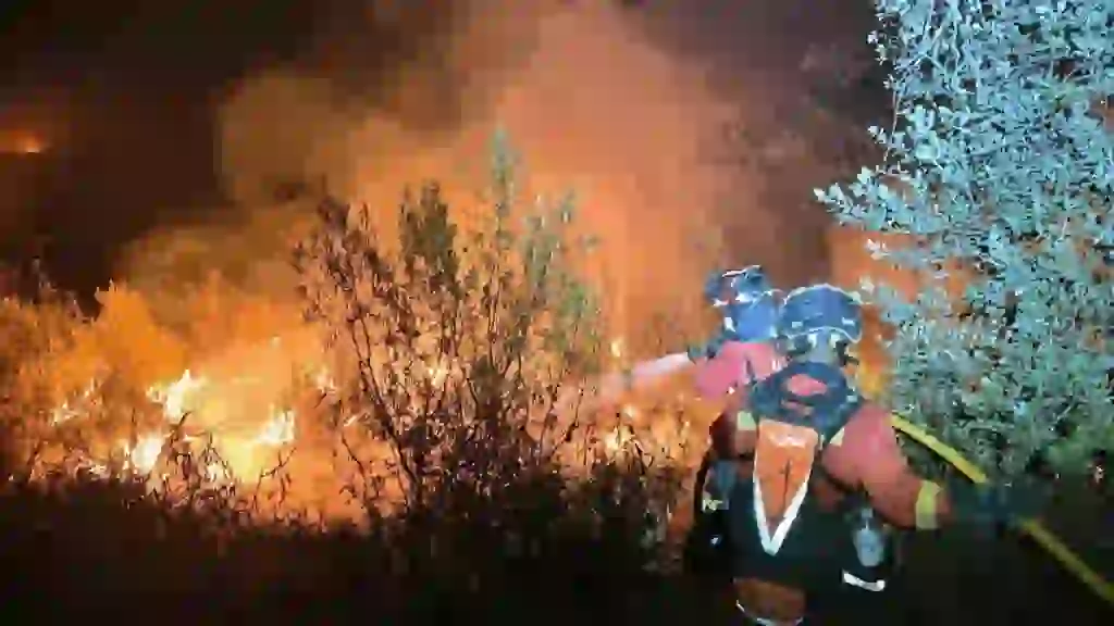 Incendio en Tres Cantos Hoy: Última Hora del Fuego en Madrid y Zonas Cercanas 1 Incendio en Tres Cantos Hoy: Última Hora del Fuego en Madrid y Zonas Cercanas