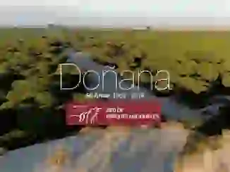 El Parque Nacional de Doñana: Patrimonio Natural de Europa