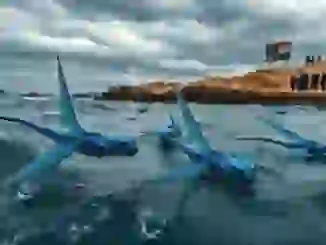El ‘dragón azul’ llega a Cádiz: prohibido el baño en Santa Bárbara por la presencia de esta rara babosa marina