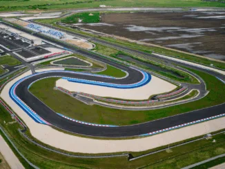 Borrador automático