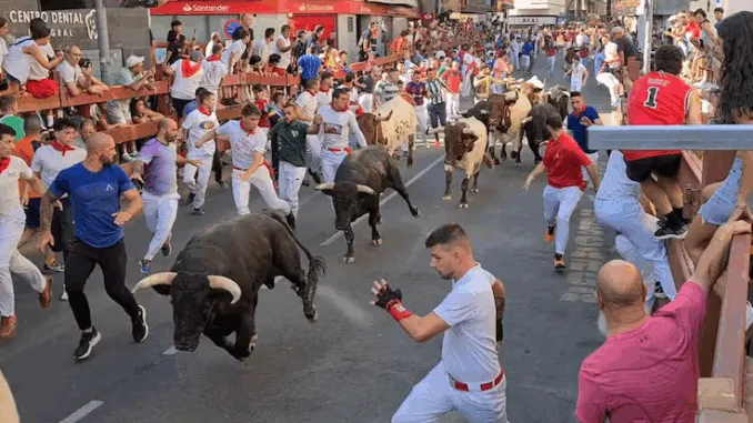 Siete heridos leves en el segundo encierro de San Sebastián de los Reyes con toros de Carlos Núñez