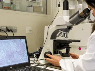 España lanza SIEC, la primera plataforma que centraliza los indicadores clave del cáncer