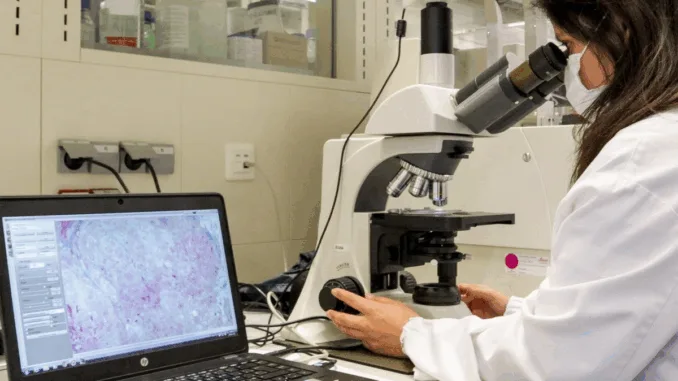 España lanza SIEC, la primera plataforma que centraliza los indicadores clave del cáncer