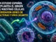 Un estudio español replantea el origen de nuestras células: heredaron genes de bacterias y virus gigantes